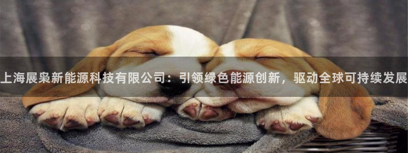 sunbet游戏官网