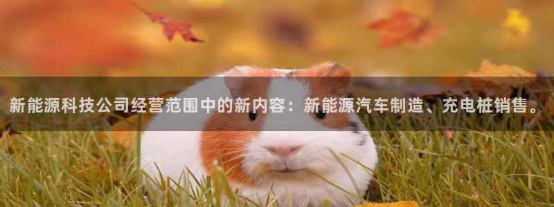 申博视讯