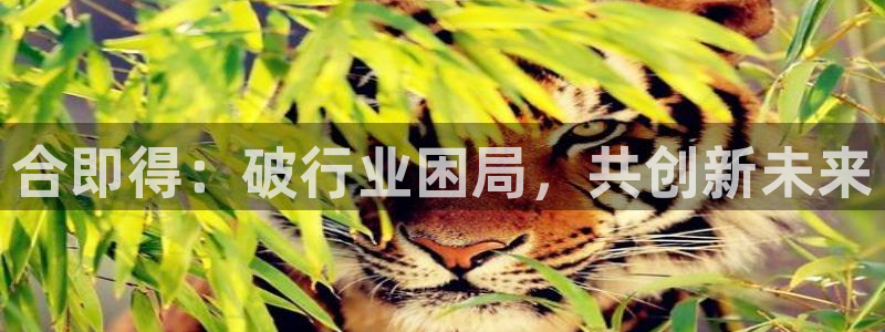 sunbet游戏