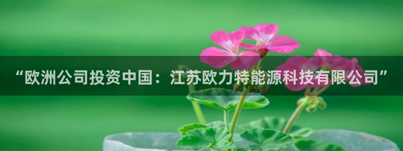 sunbet源码