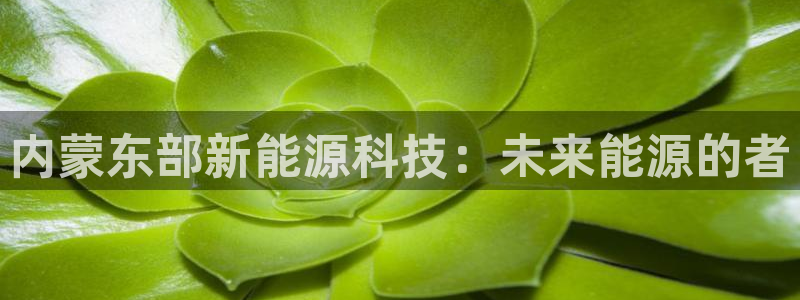 申慱sunbet手机版登
