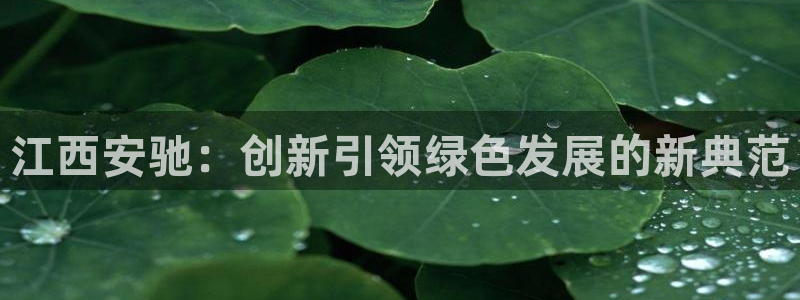 sunbet官网app首页