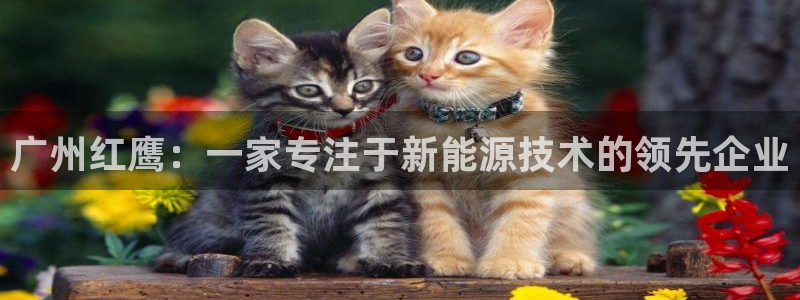 sunbet游戏官网