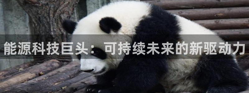 sunbet手机版官网下载