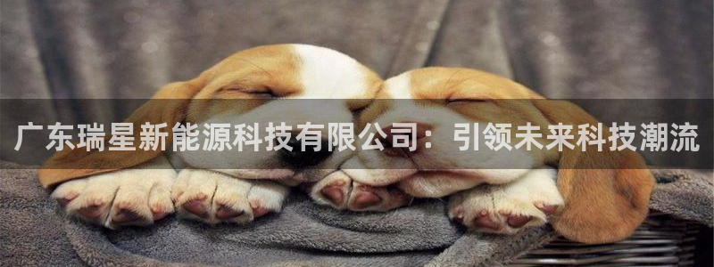 sunbet首页登录入口