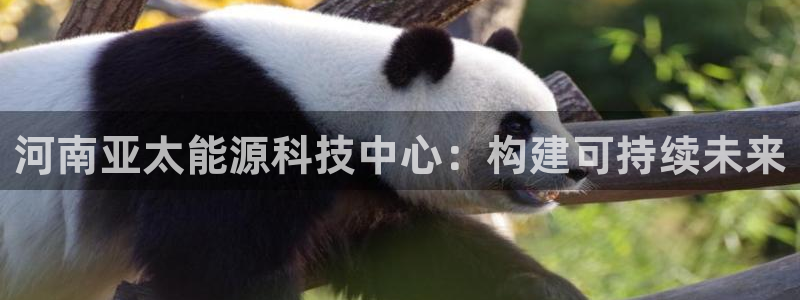 申博官方网站手机版下载