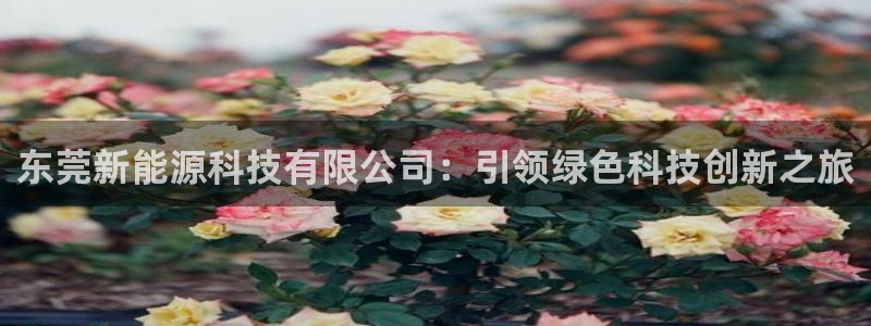 sunbething怎么读