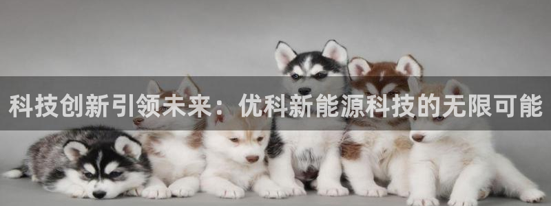 sunbet游戏最新版