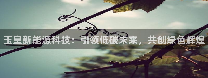 sunbet官网welcome