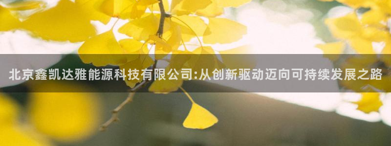 sunbet手机版官网下载