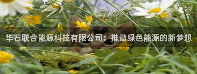 申博手机网址