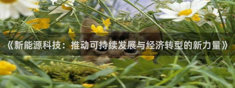 sunbet燃气灶