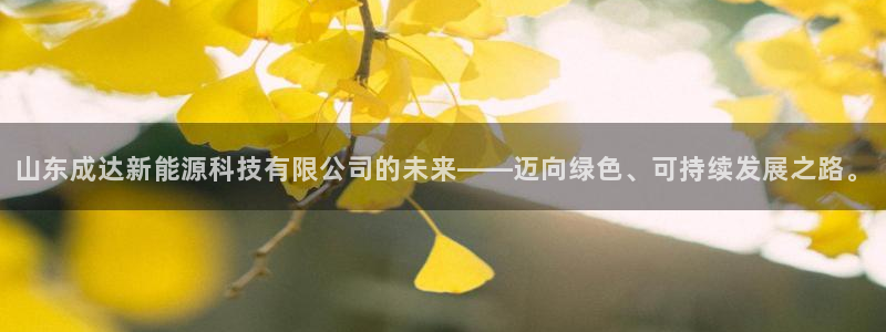 sunbet燃气灶
