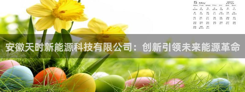 sunbet最新消息