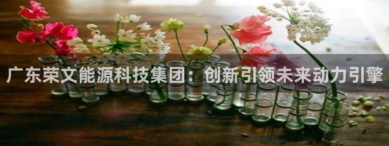 sunbet申搏平台