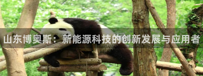 申博手机版官网