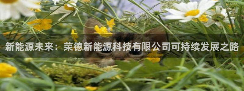 sunbet首页登录入口