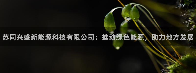 申博官方网站手机版下载