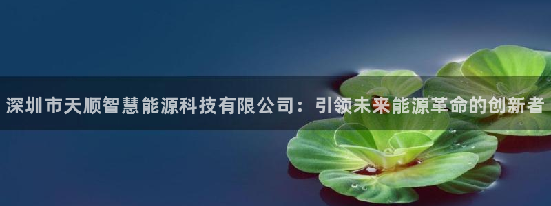 sunbet申搏官方网站