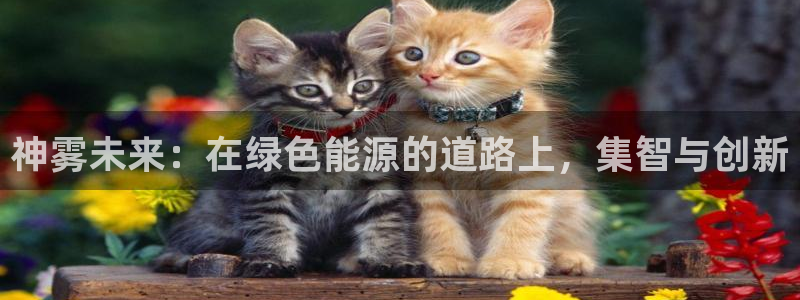 申博手机版官网