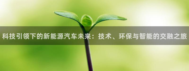 sunbet手机网页版