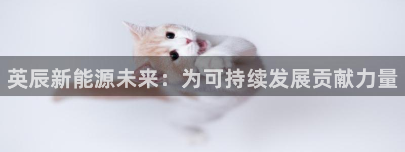 sunbet手机版官网下载