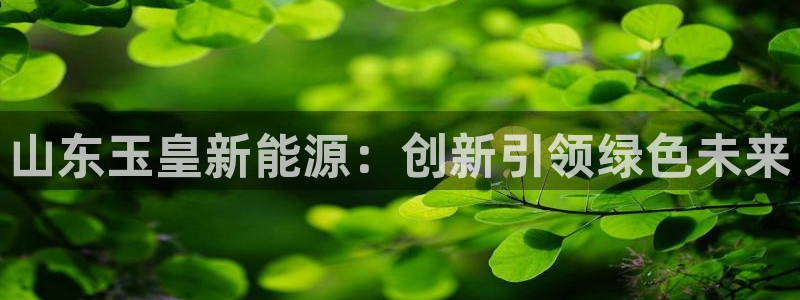 sunbet英语翻译
