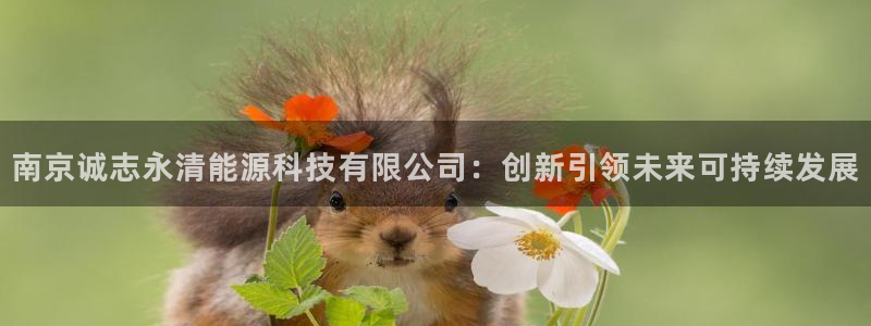 申博手机网站