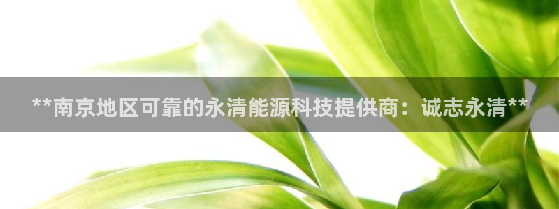 sunbet源码