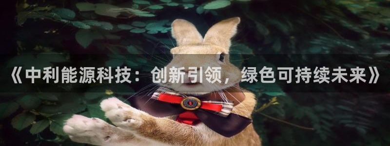 sunbet源码